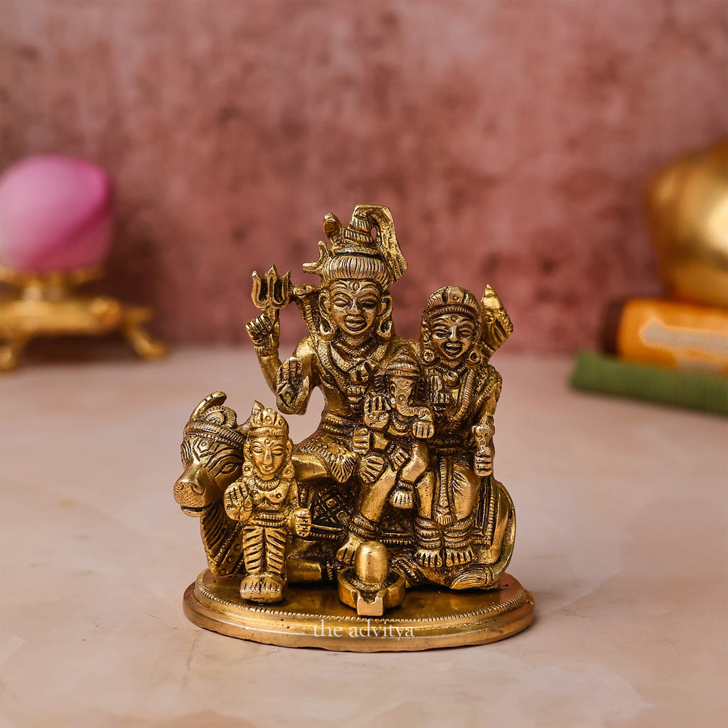 Mahadeva,Maheshvara,Neelakantha,Mrityunjaya,Kailashapati,shiv,Bholenath,Shiv Parivar With Base & Shivling (Small)