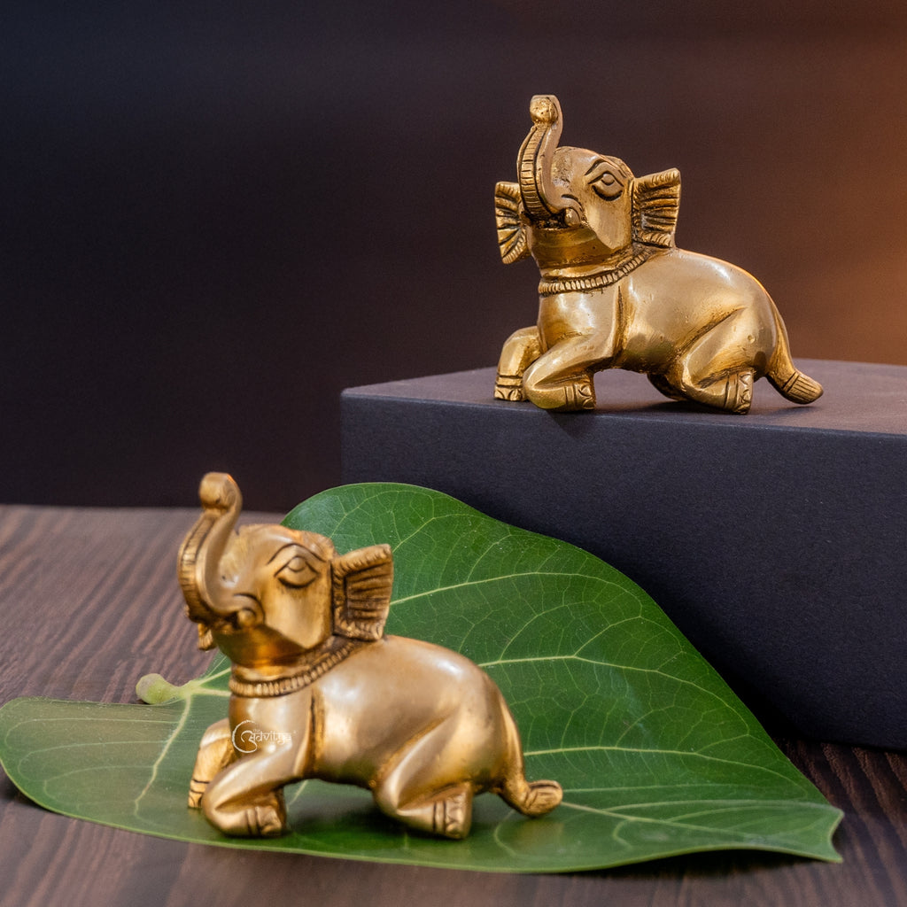 Brass Elephant Pair