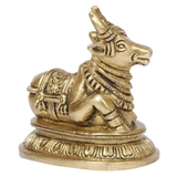Nandi Brass Idol