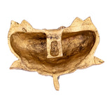 Brass Lotus Wall Hanging (Pair)