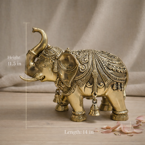 Elephant Idol in Brass Finish for Decor & Gifting | 14 X 11.5 Inches