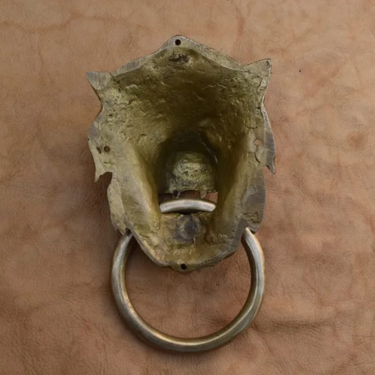 Brass lion door knocker