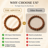 5 Mukhi Rudraksha Bracelet For Stability, with Goddess Mahalakshmi's Blessing