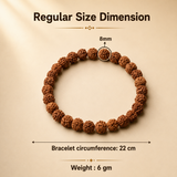 5 Mukhi Rudraksha Bracelet For Stability, with Goddess Mahalakshmi's Blessing