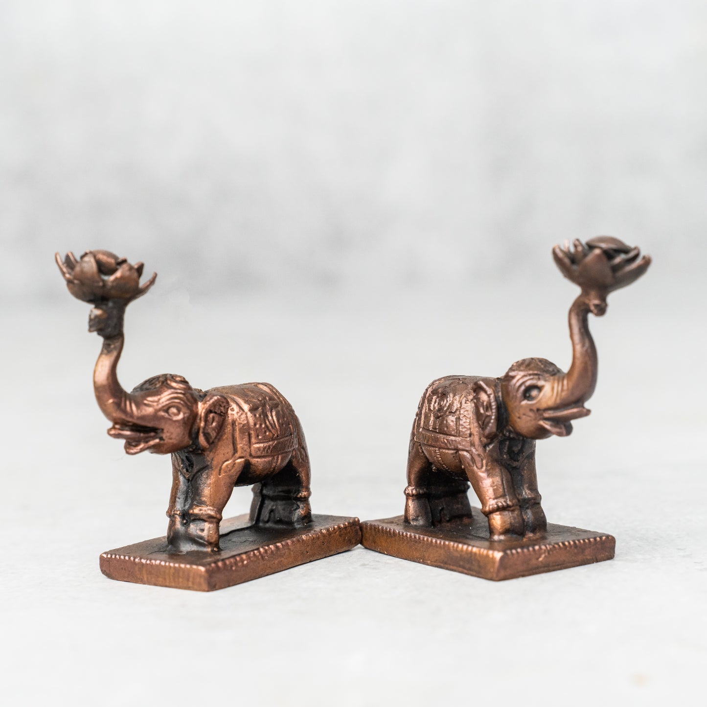 Copper Elephant Pair