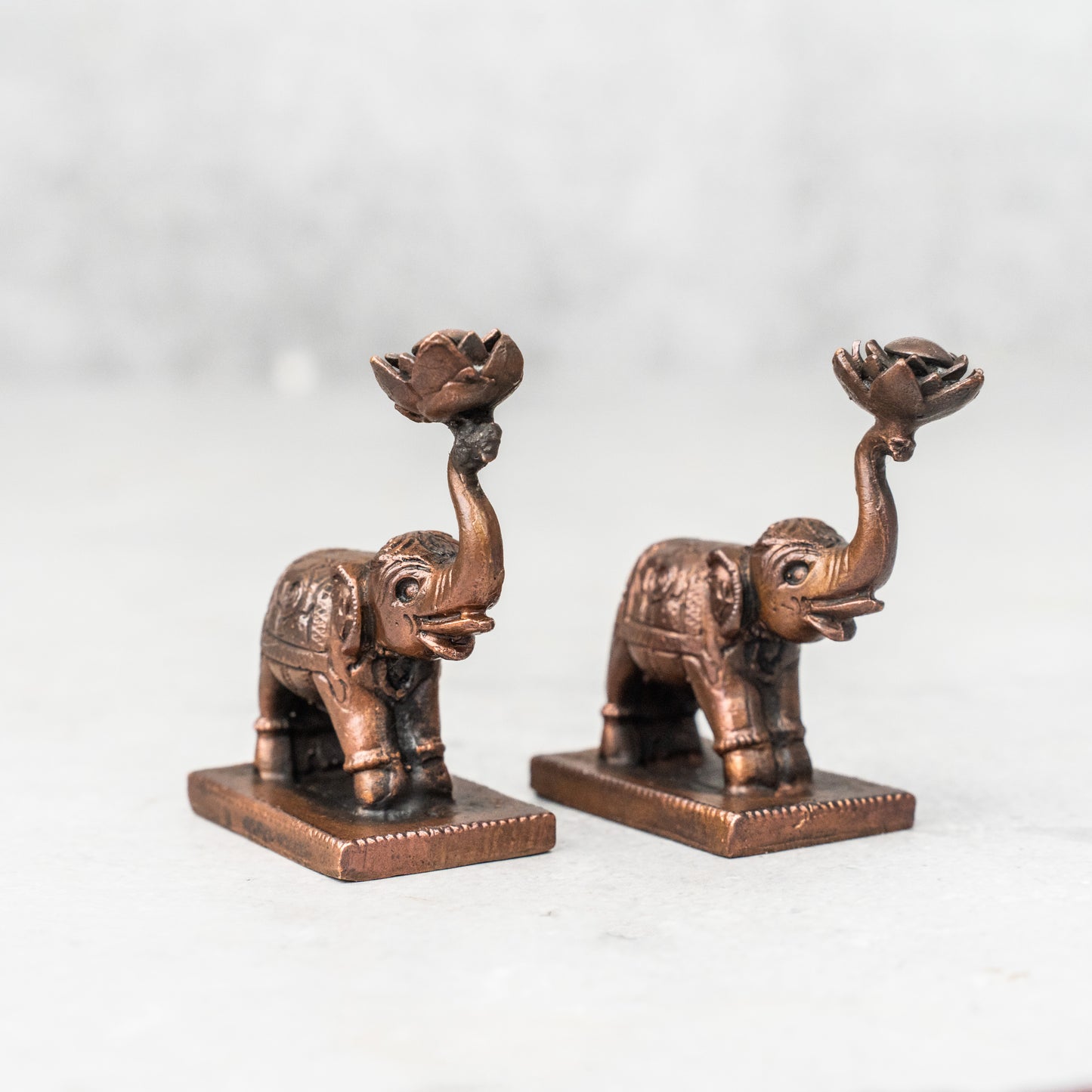 Copper Elephant Pair