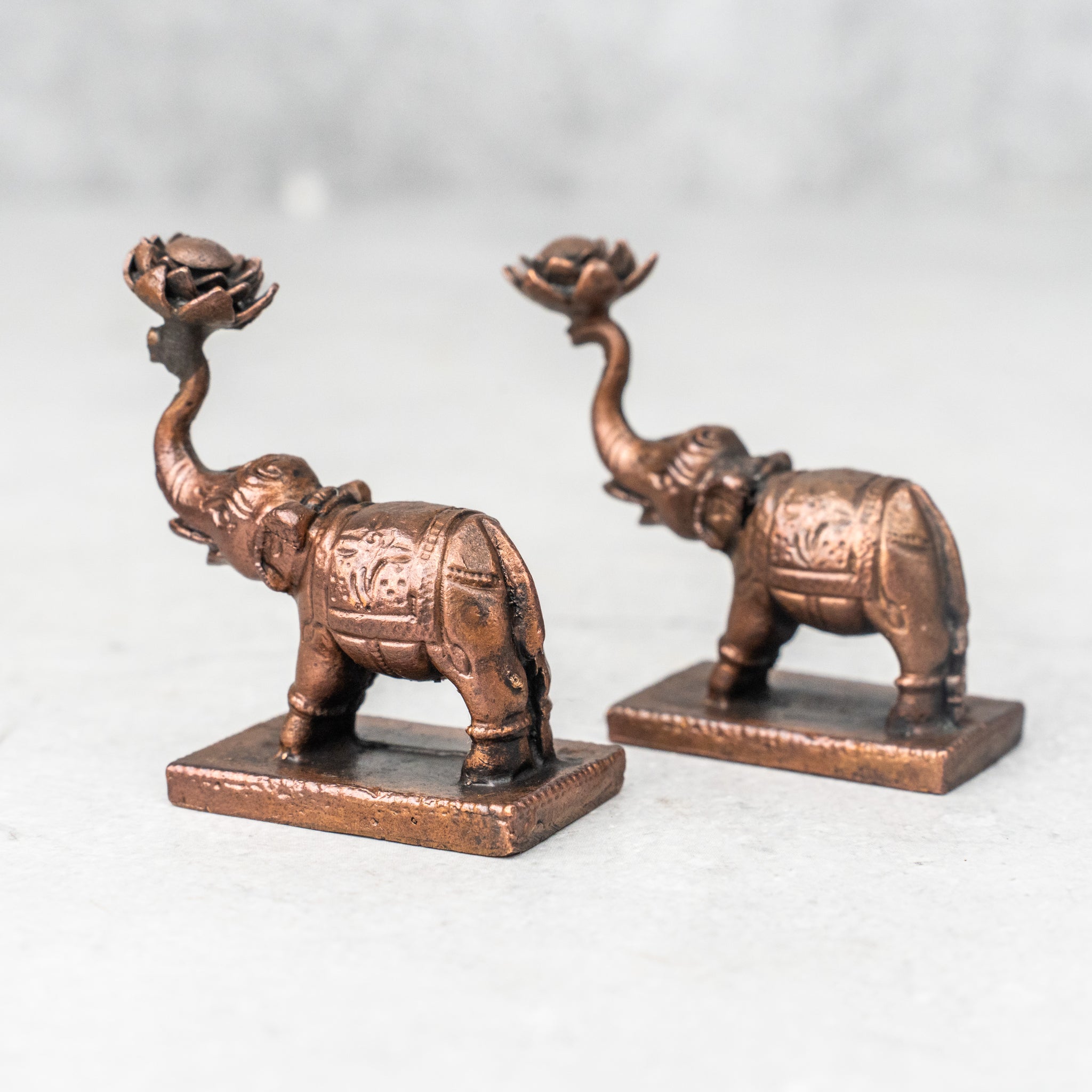 Copper Elephant Pair