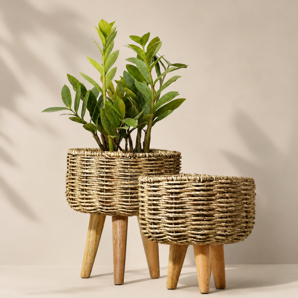 Jute Planter -  medium large with Wooden Stand