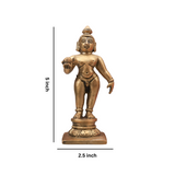 Standing Lord Krishna Laddu Gopal Idol
