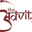 The Advitya logo