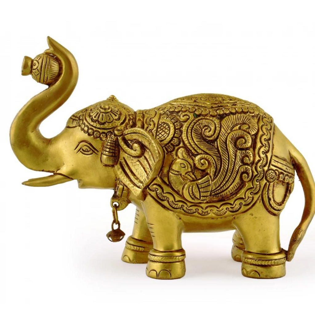 Elephant Standing With Bell On Neck