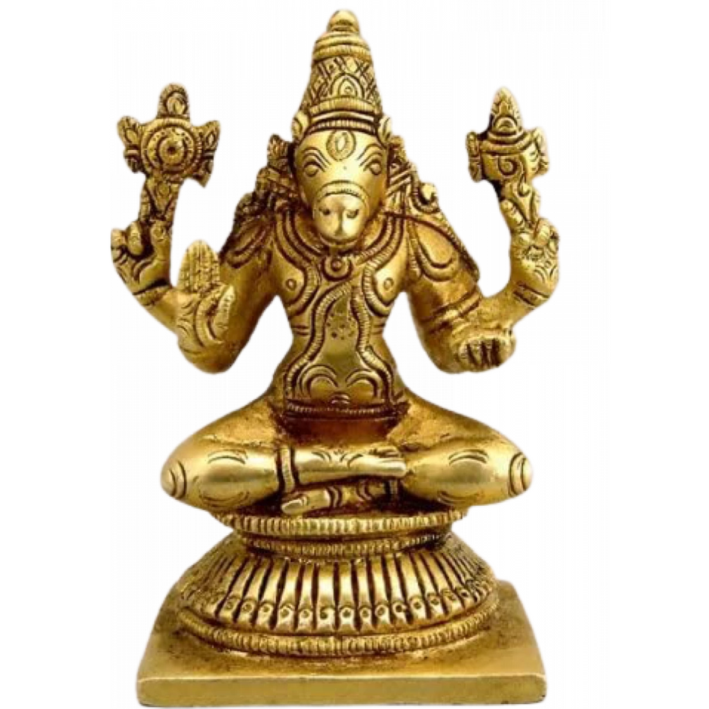 Visnhu,Nraayan,Hari,Pradyumna,Kamala-Natha,Vishnu Varaha Idol
