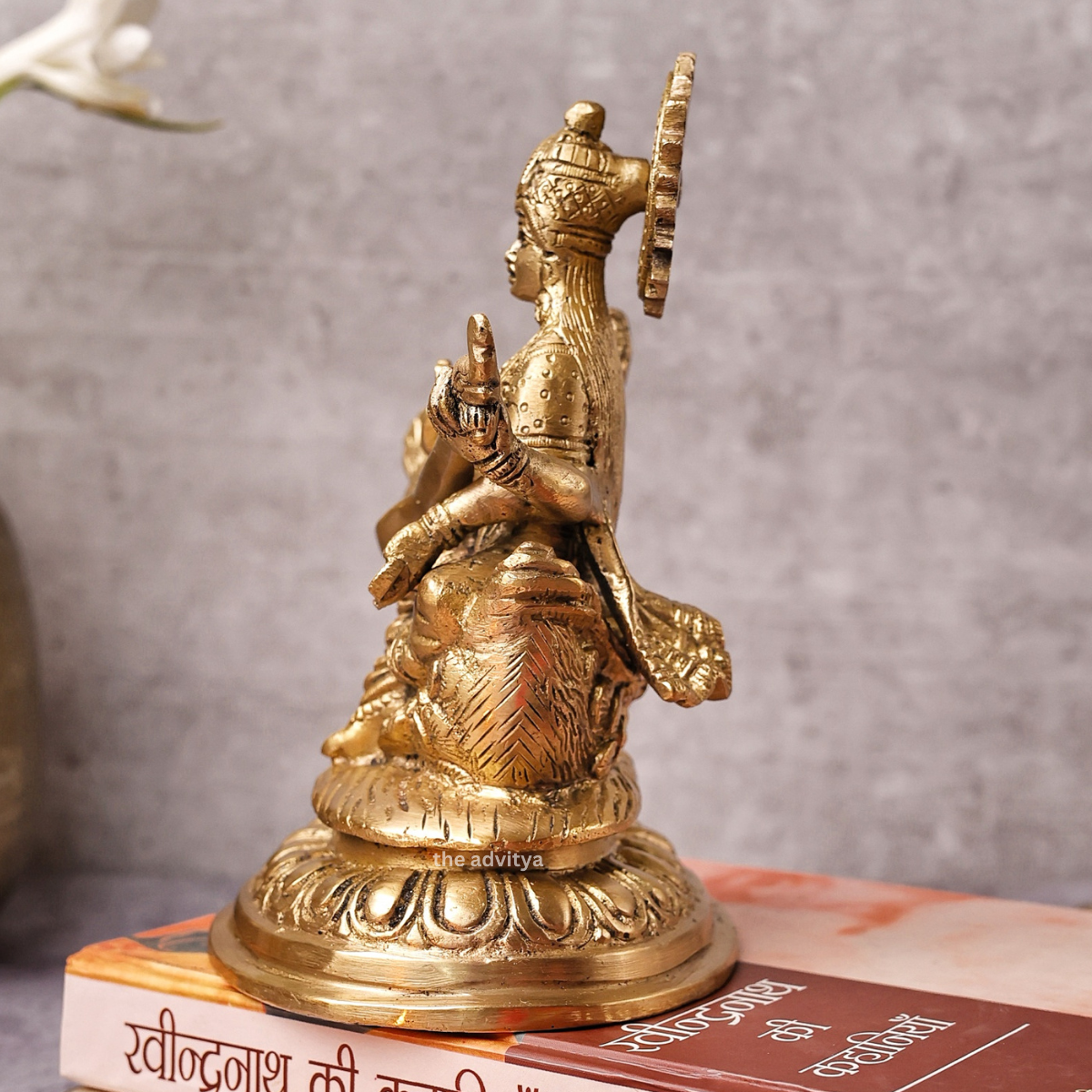 Vidyadati,saraswati,vanda devi,Saraswati Mata,Brahmani,Hansvahini,vinavadni,Goddess Saraswati Sitting On Hans