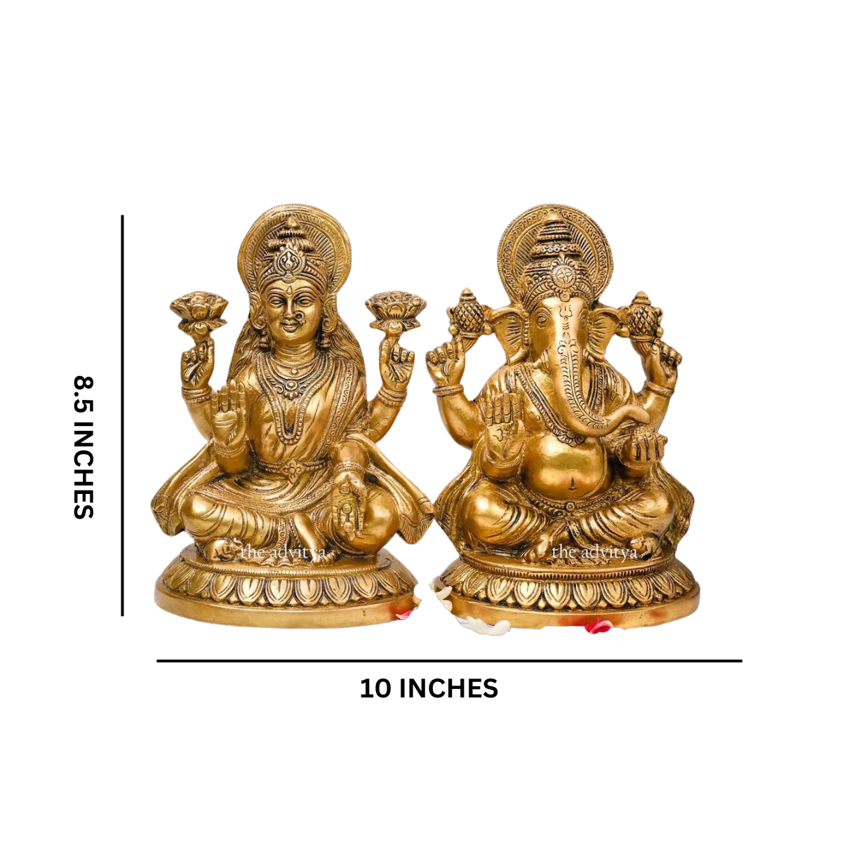 Vighneswari,Vakratund Laksmi,Ganesh Laxmi, Lambodari Lakshmi,Ekadanta Laksmi,Ganesh Laxmi on Lotus