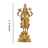 Visnhu,Nraayan,Hari,Pradyumna,Kamala-Natha,Standing Lord Vishnu