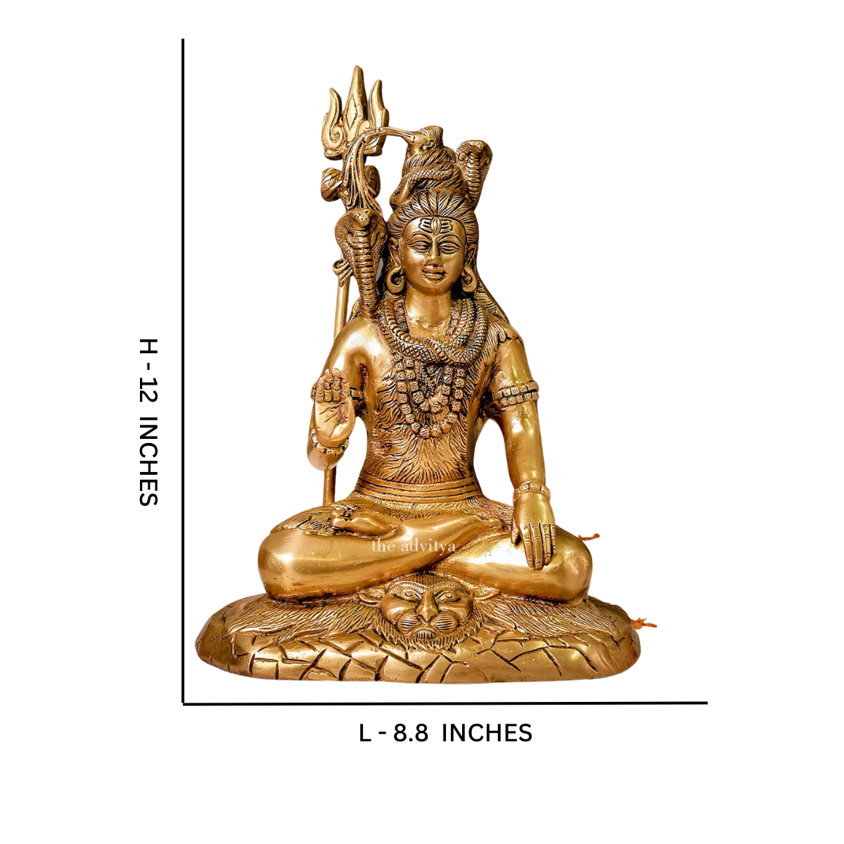 Dimension and size reference image of Brass Shiva Statue meditating on a lion mat.