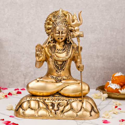 Hindu God Shiva Idol front view for home temple.
