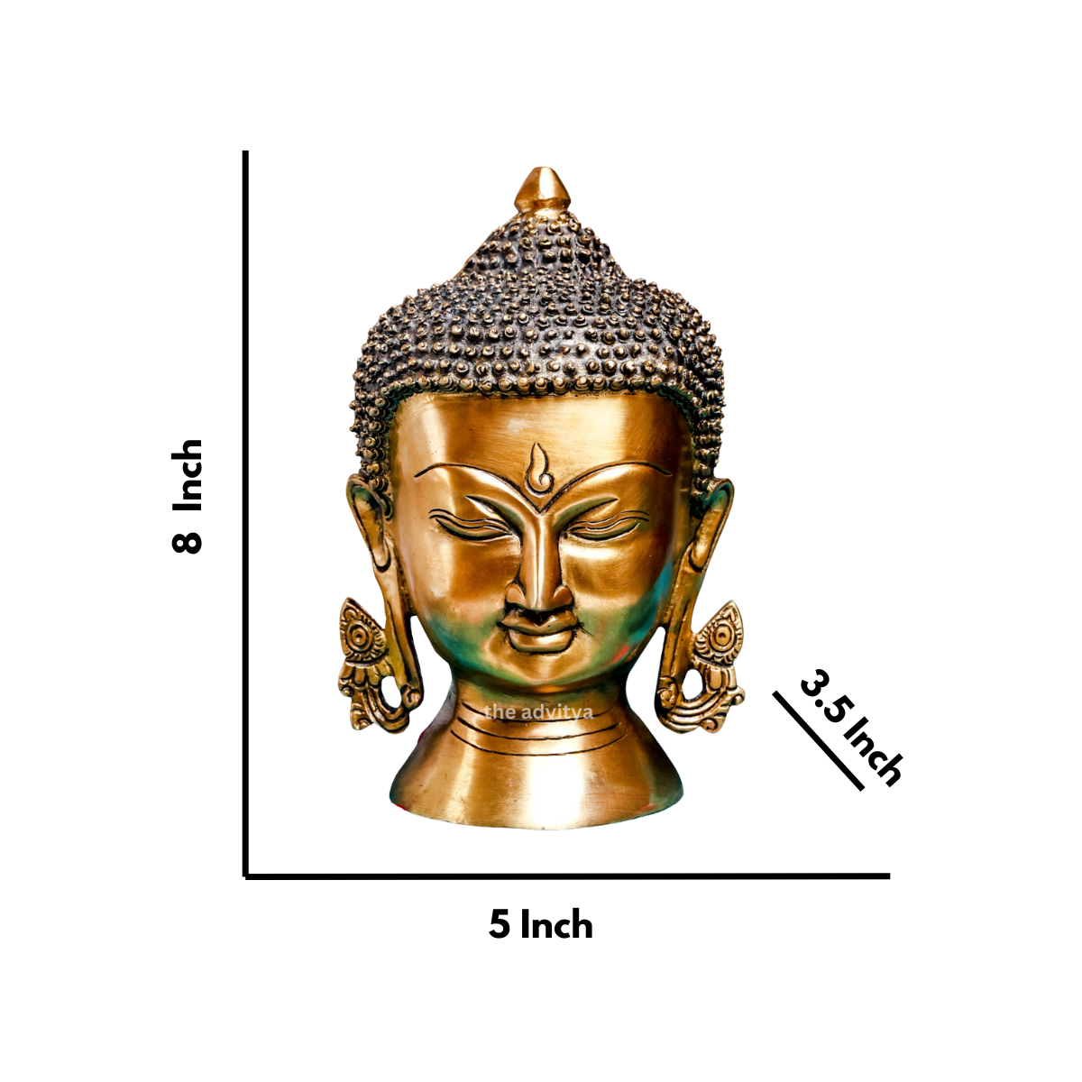 Detail dimension view of serene Buddha head with detailed hair design