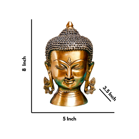 Detail dimension view of serene Buddha head with detailed hair design