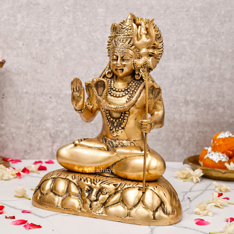 Shiva Idol shown from left side angle
